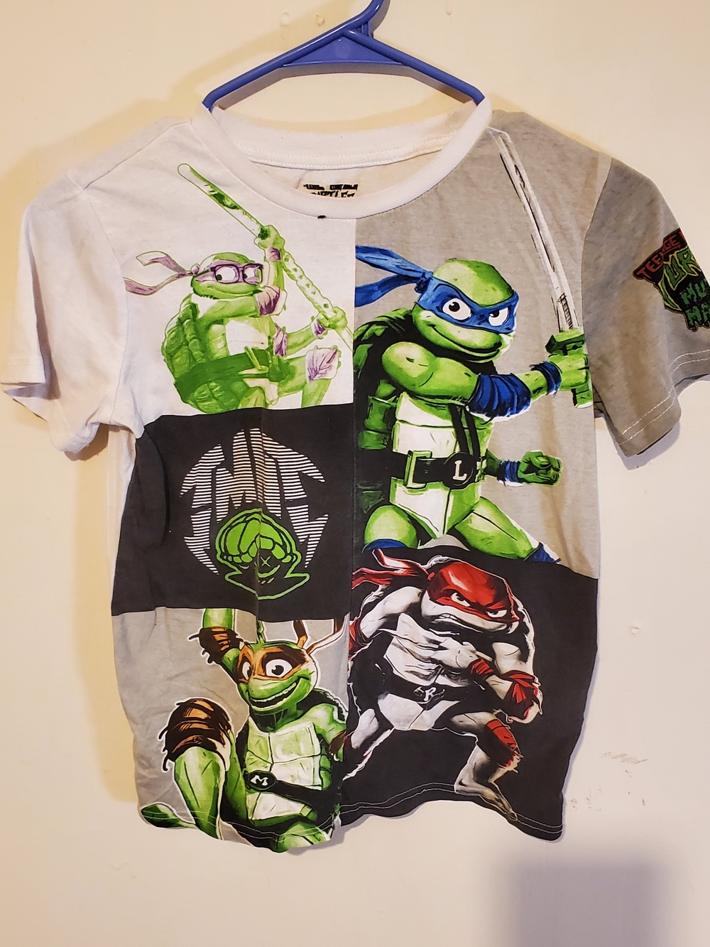 Teenage Mutant Ninja Turtles Kids' Short Sleeve Graphic Tee - Green 10
